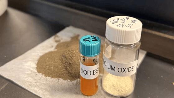 路易斯安那州团队：本地藻类牡蛎壳成生物柴油新原料