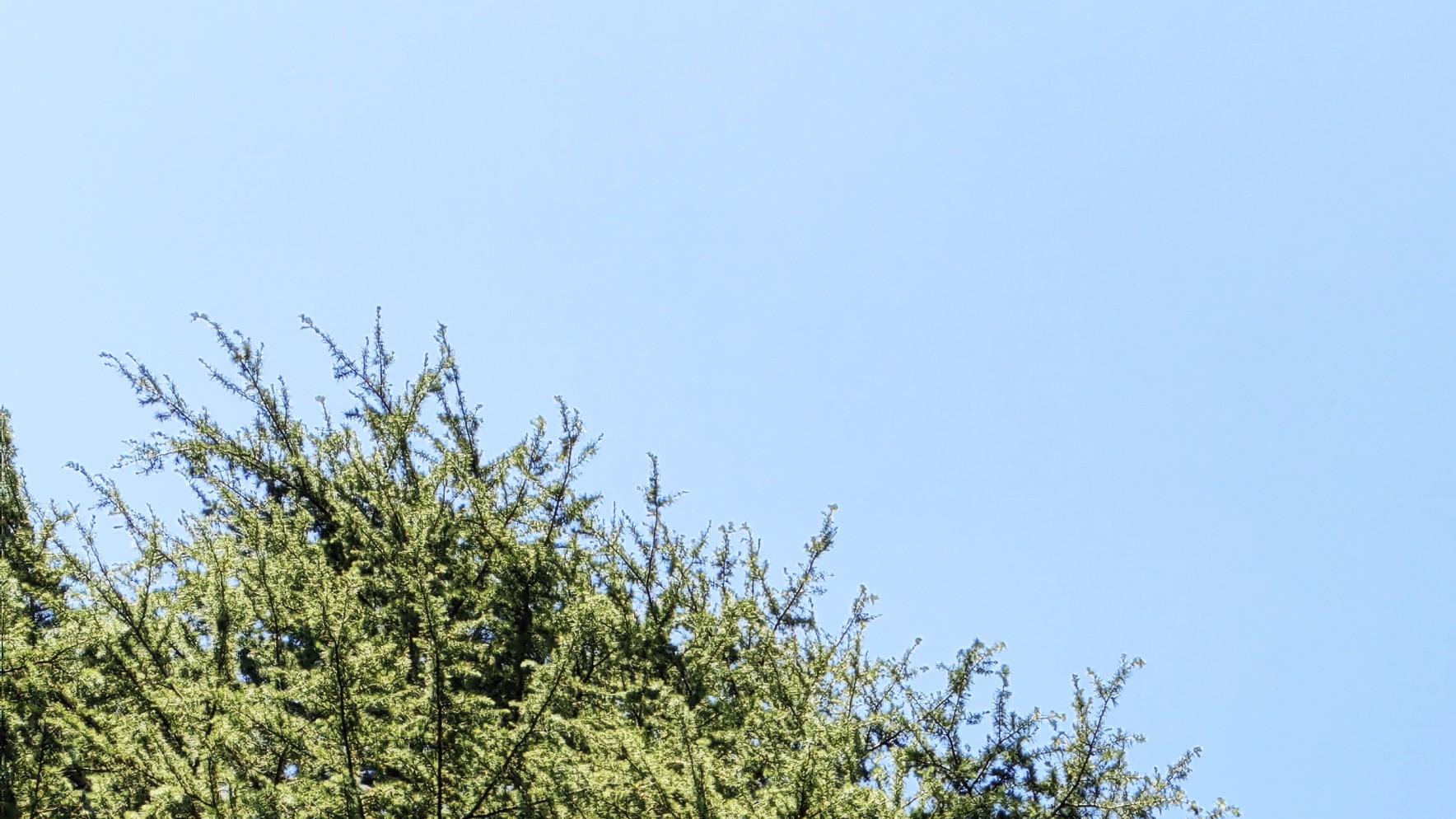 职场真相：工作，就这样面目可憎？