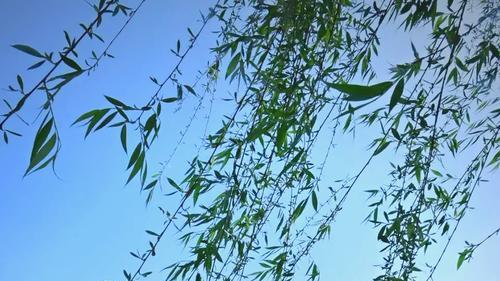 国内高校分享第96期：浙江师范大学-浙师大竟是UCL硕士直通车？师范生逆袭全球教育顶流