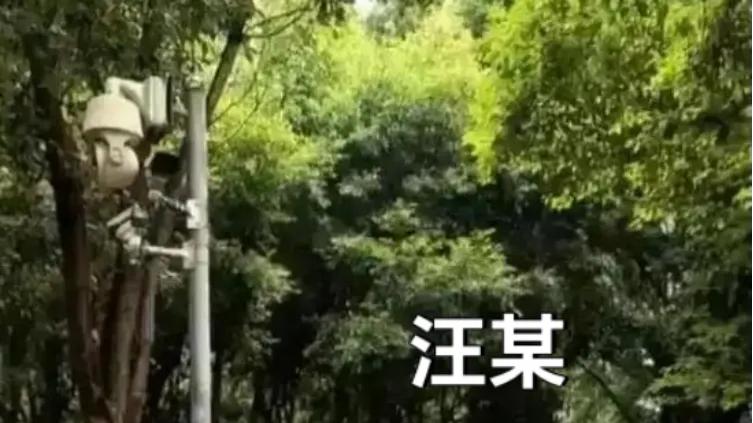 替天行道四字终于又在神州大地唱响，评重庆某大学副校长被刺事件