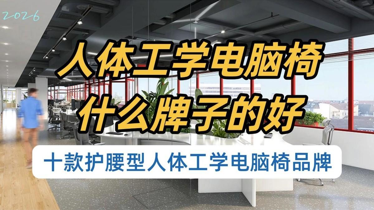 人体工学电脑椅什么牌子的好？十款护腰型人体工学电脑椅品牌