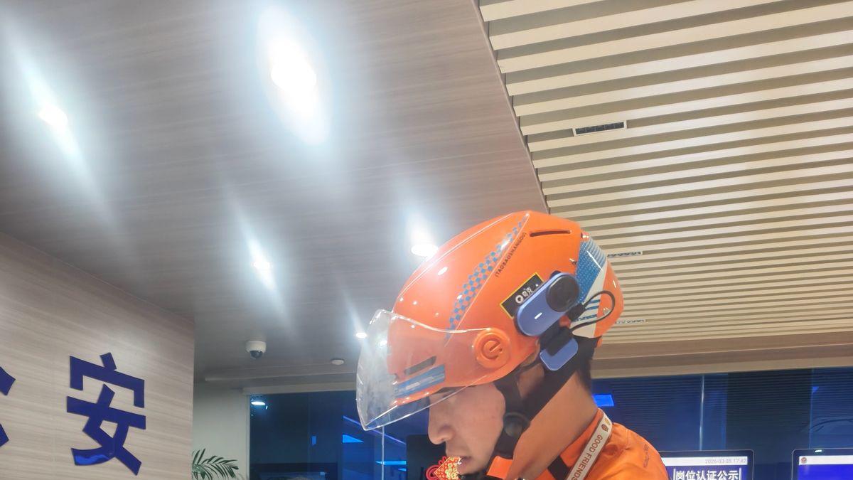 杭州上演接力救助 国家二级保护动物雀鹰成功获救