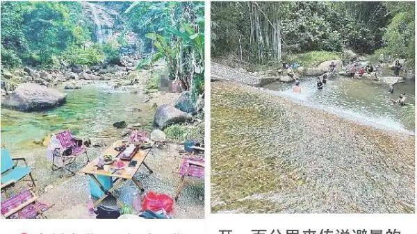 “野游”灰色利益链，岂能玩“危险游戏”？