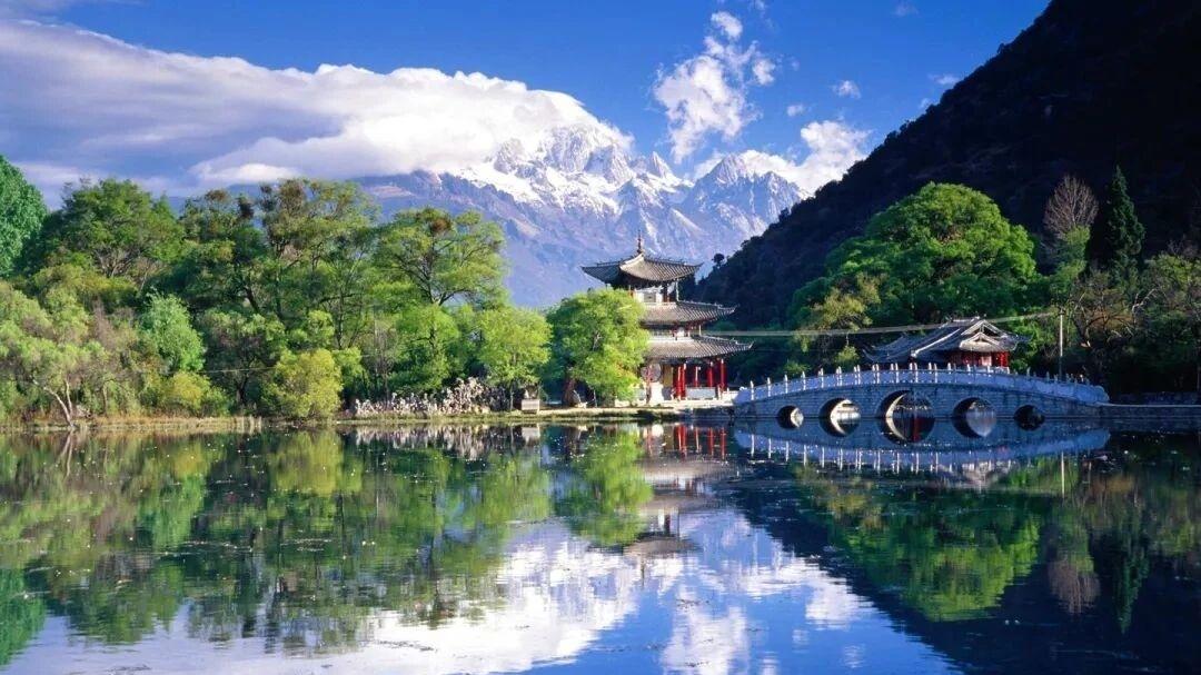 见财星反为败运的格局