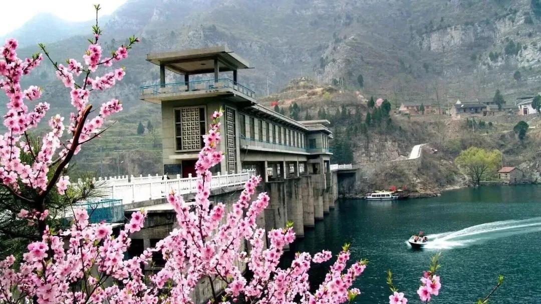 万亩桃花醉春风，我在焦作青天河等你