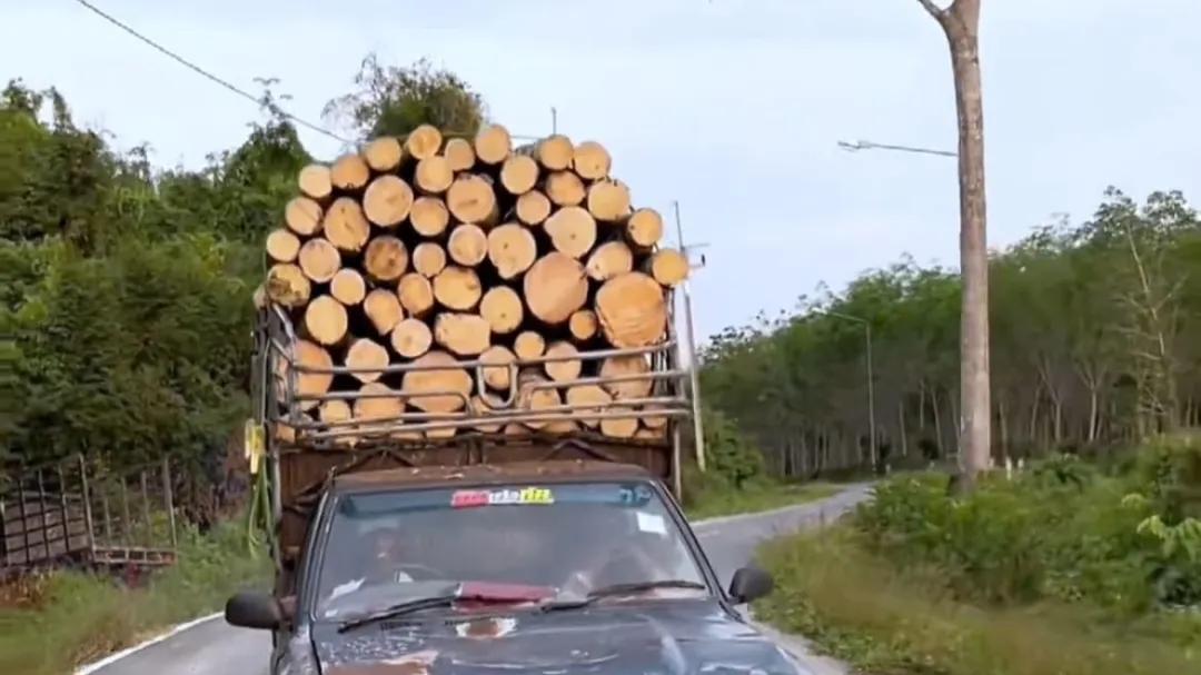 比亚迪会超越丰田，成世界第一车企吗？