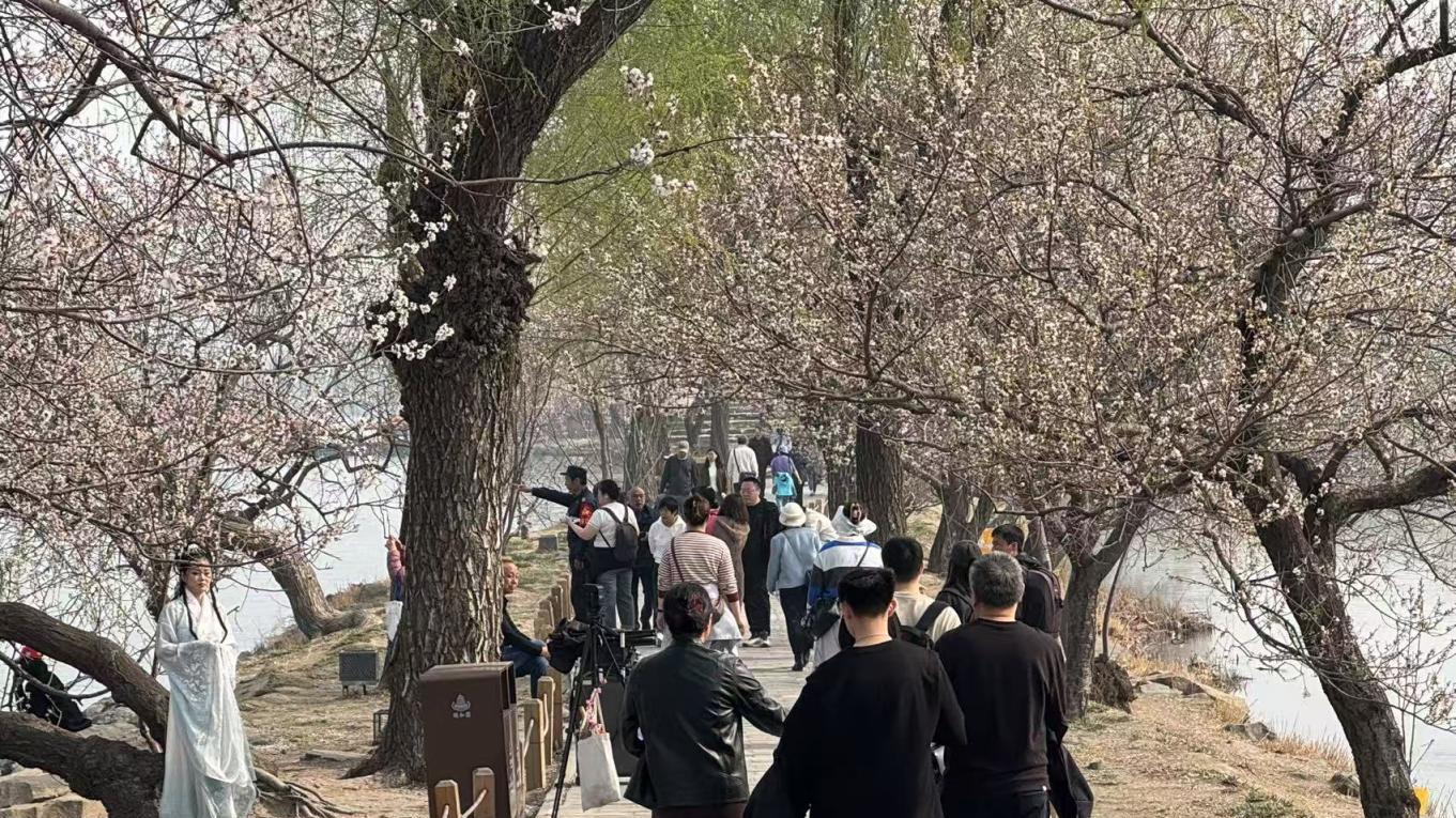 不能让商拍团队把公园变成“私园”