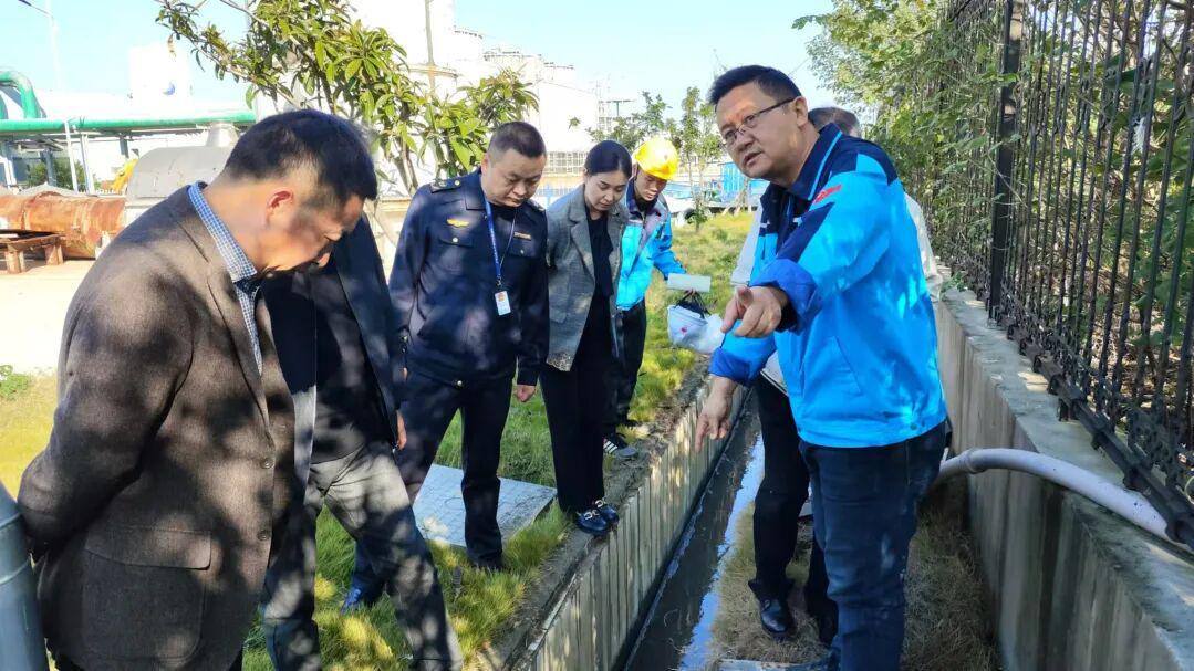 向绿而生 向新而行！荆门高新区·掇刀区2025年生态环境保护工作纪实