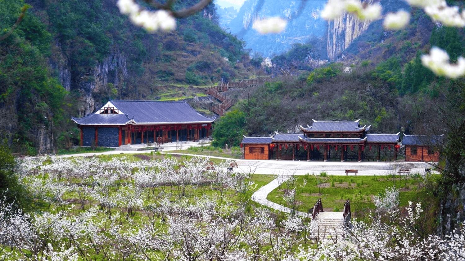 三万亩樱桃花开，九洞天邀全民拍春——短视频大赛启动