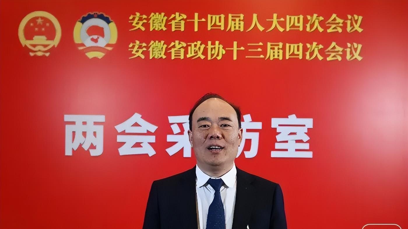 政企双向奔赴，阜南跑出“加速度” ——专访安徽省人大代表、阜南县人民政府县长胡天立