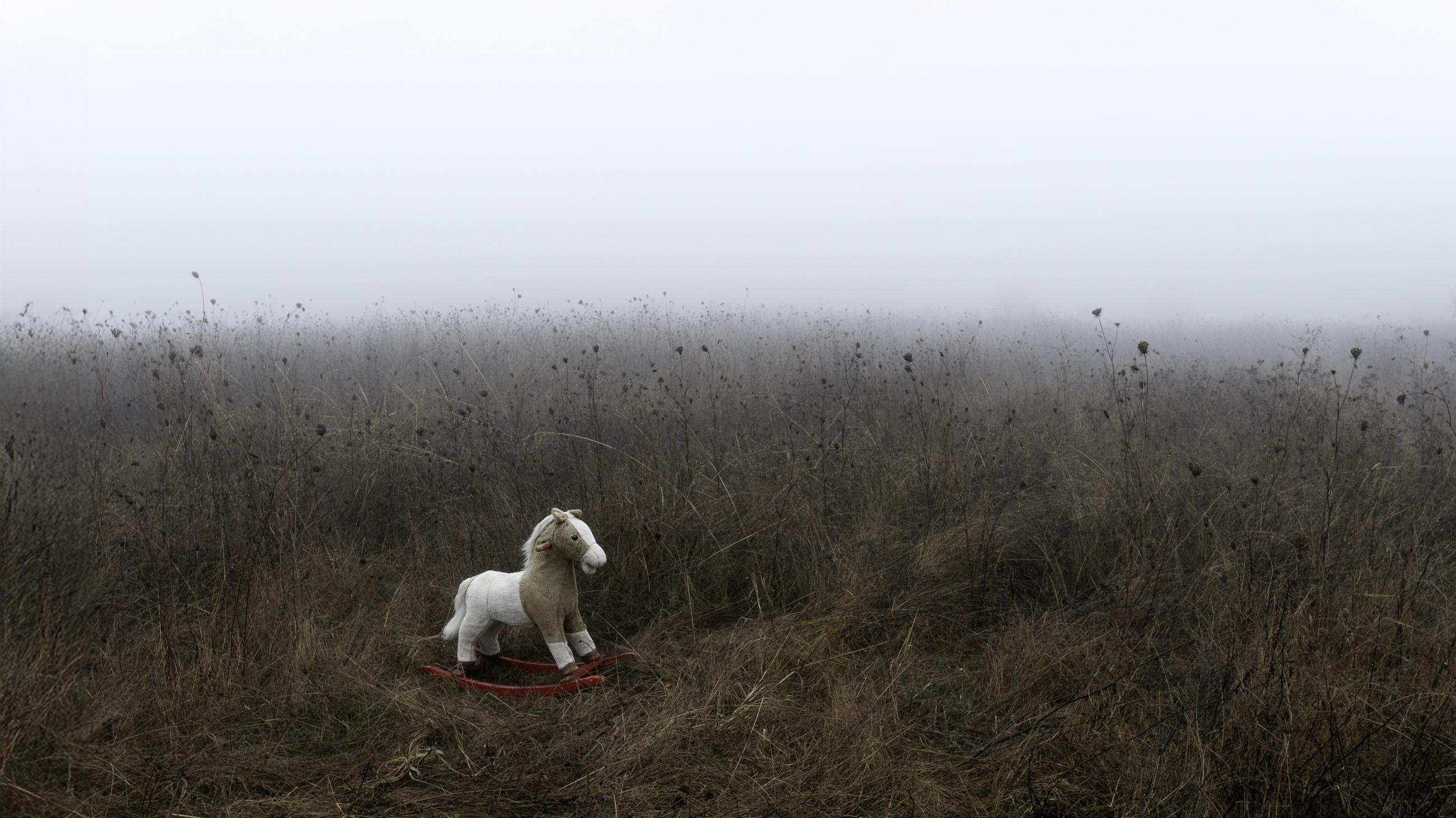 索尼世界摄影奖2025获奖作品（10）