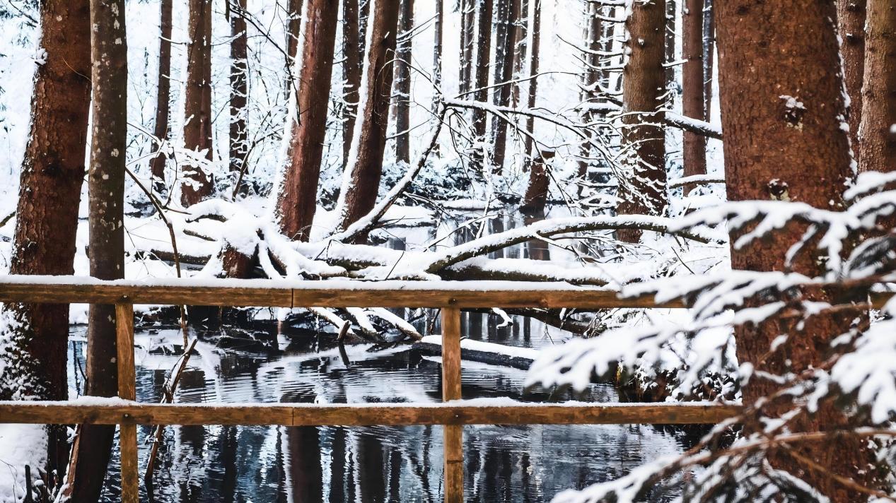 冬季恋歌同款出游！首尔雪景全攻略