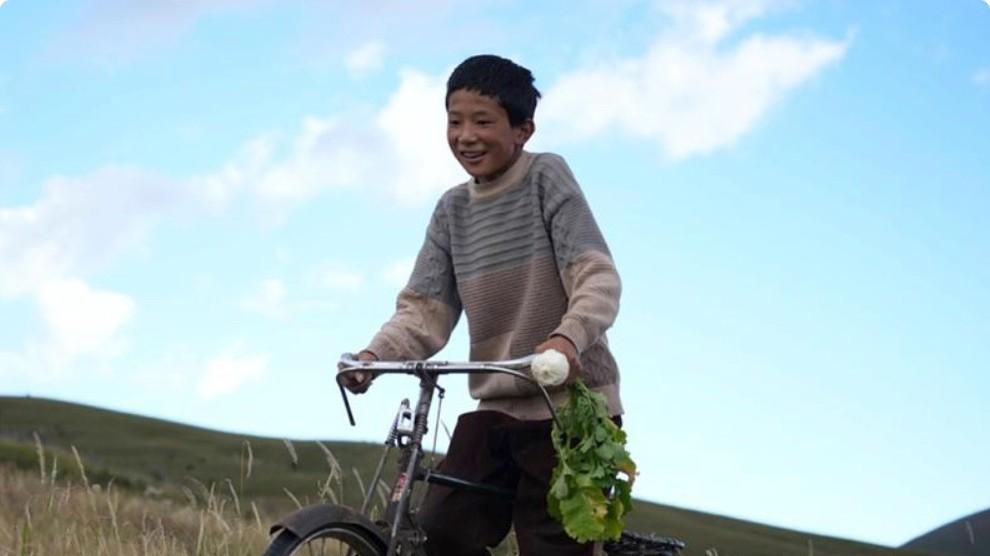 投资千万票房仅28万，大鹏监制新片上映即扑街，血本无归太惨了