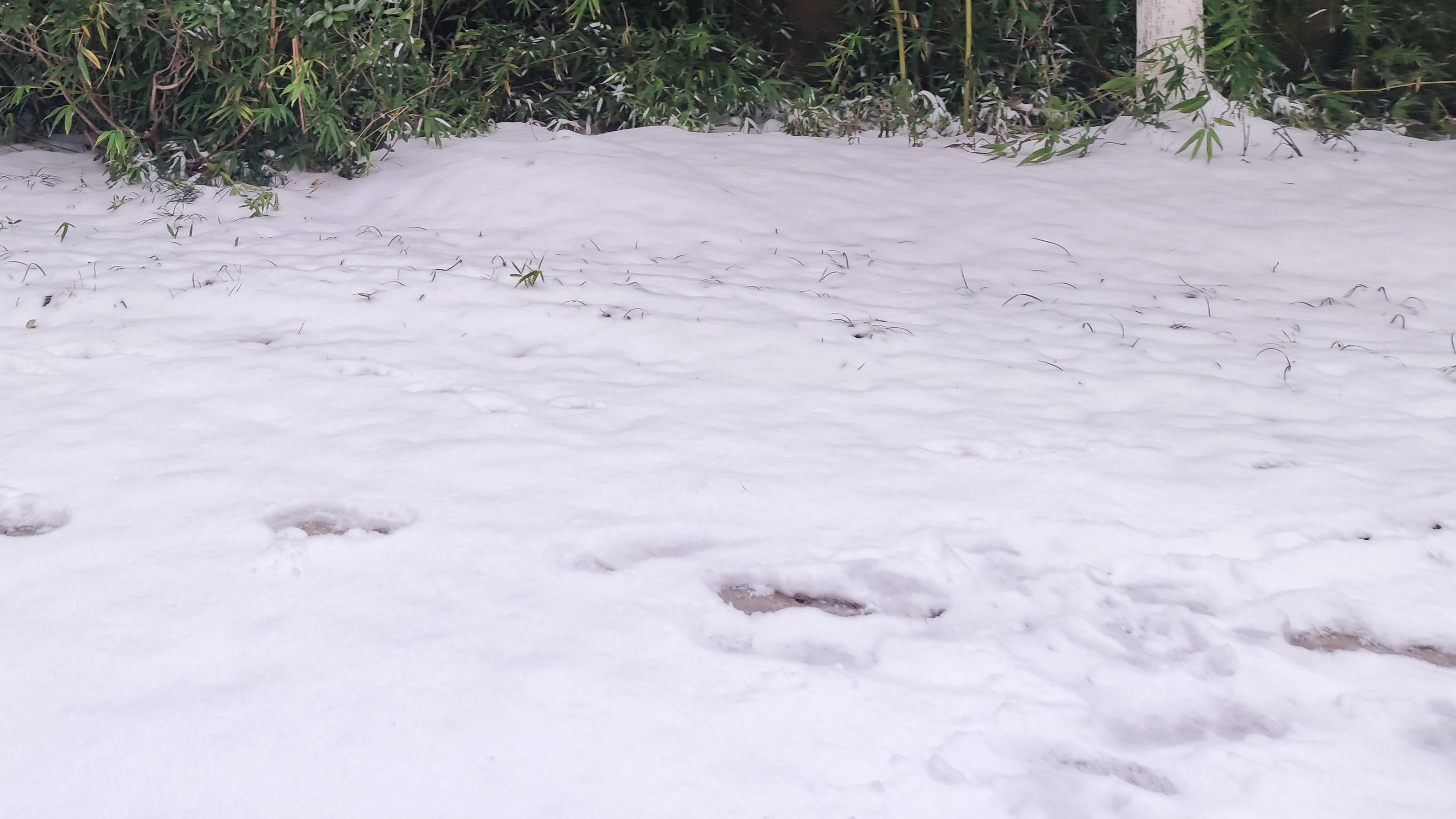 中年失业负债，我带娃在武汉摆地摊之26：新手摆摊不要交的“智商税”！