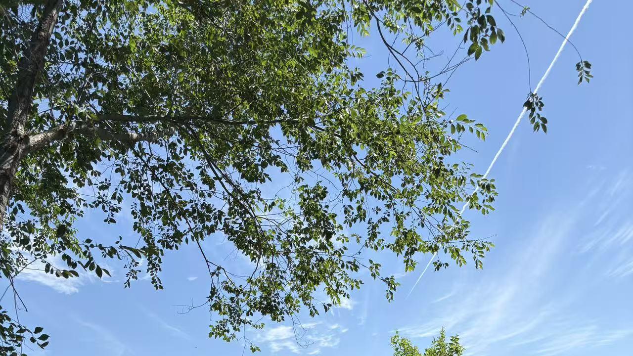 2026年每日通盛及各生肖运势6月24日