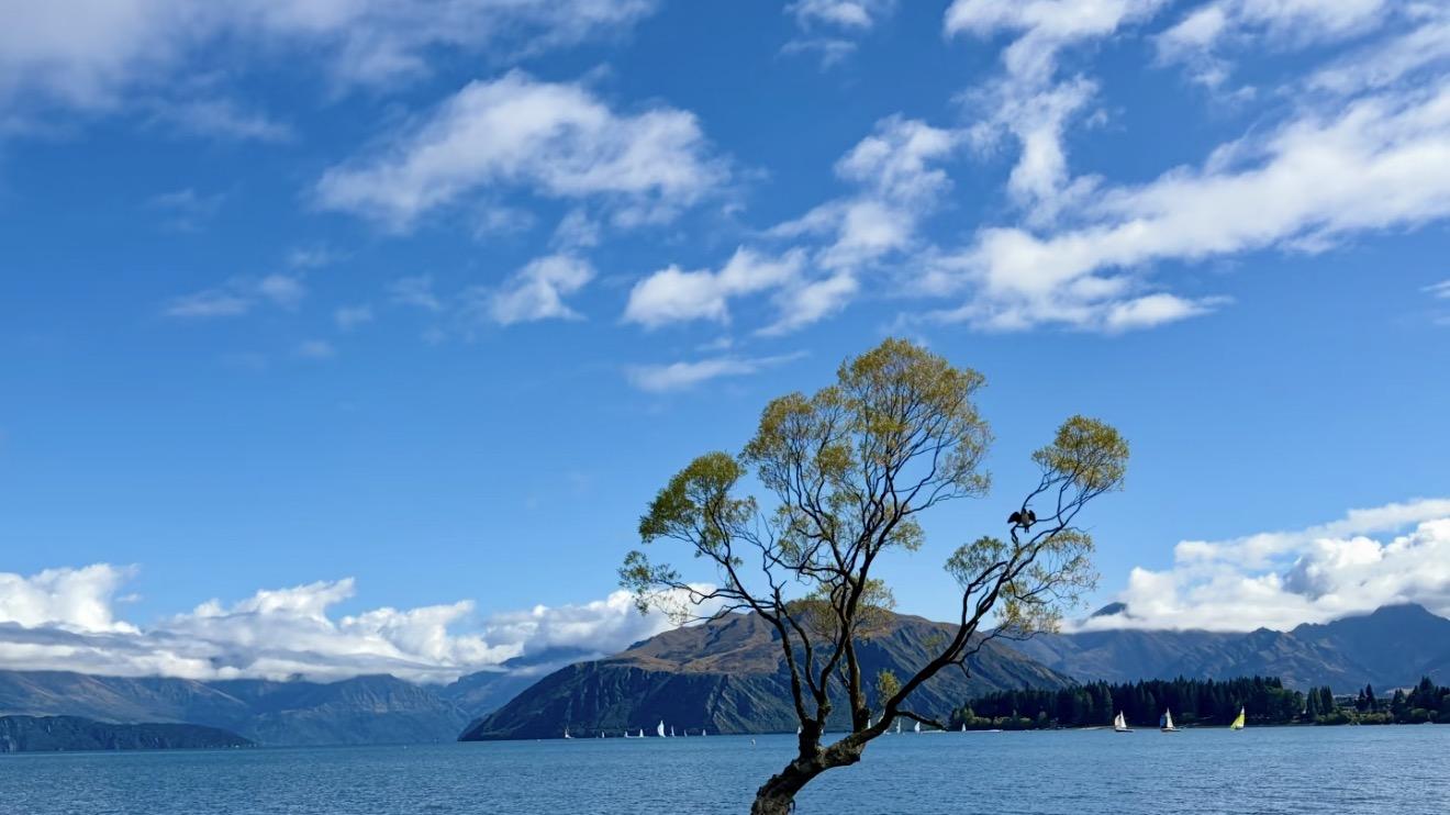 第14名的尽头，是1.02分