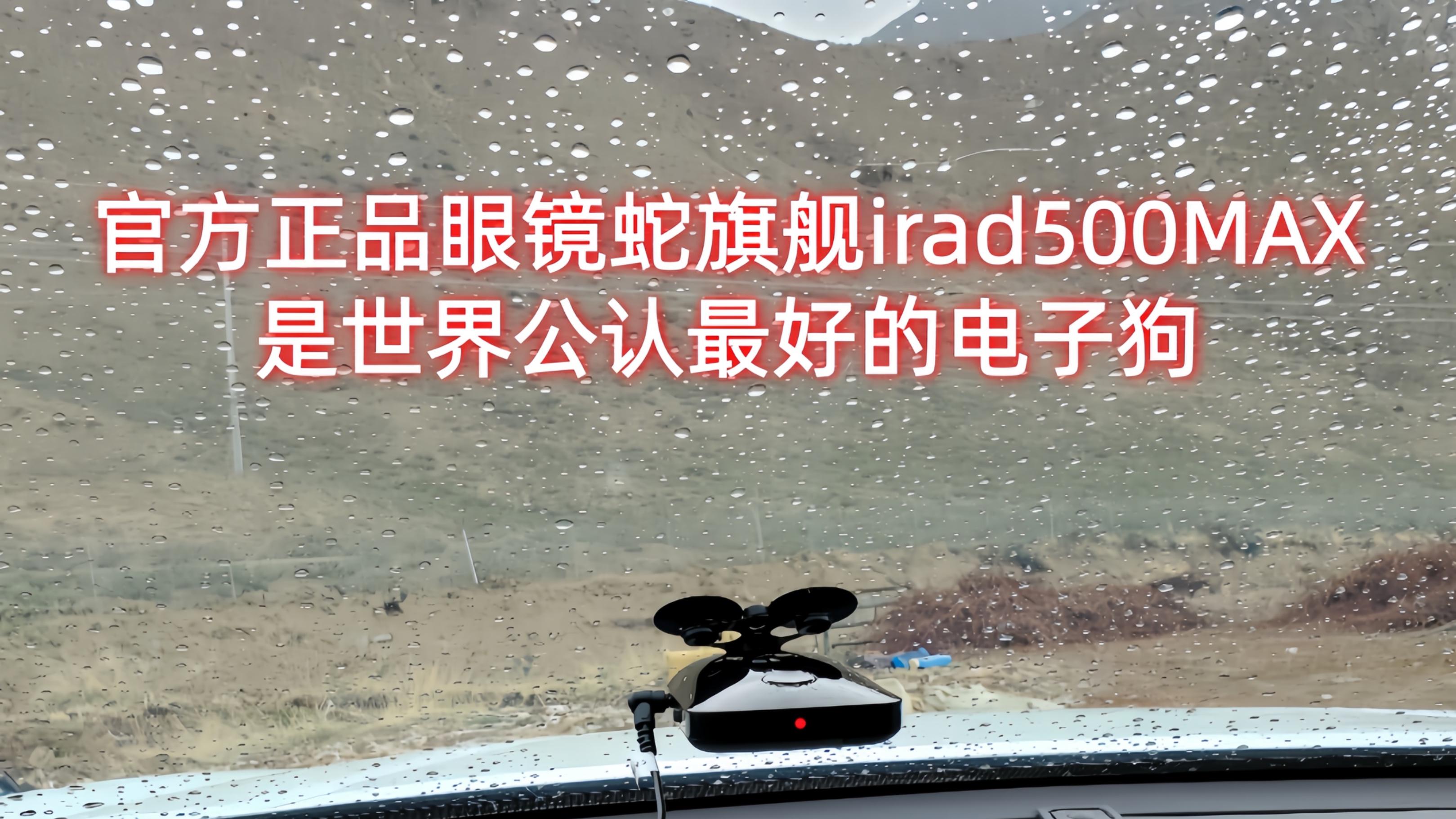 最好的电子狗是更明智的驾驶伙伴