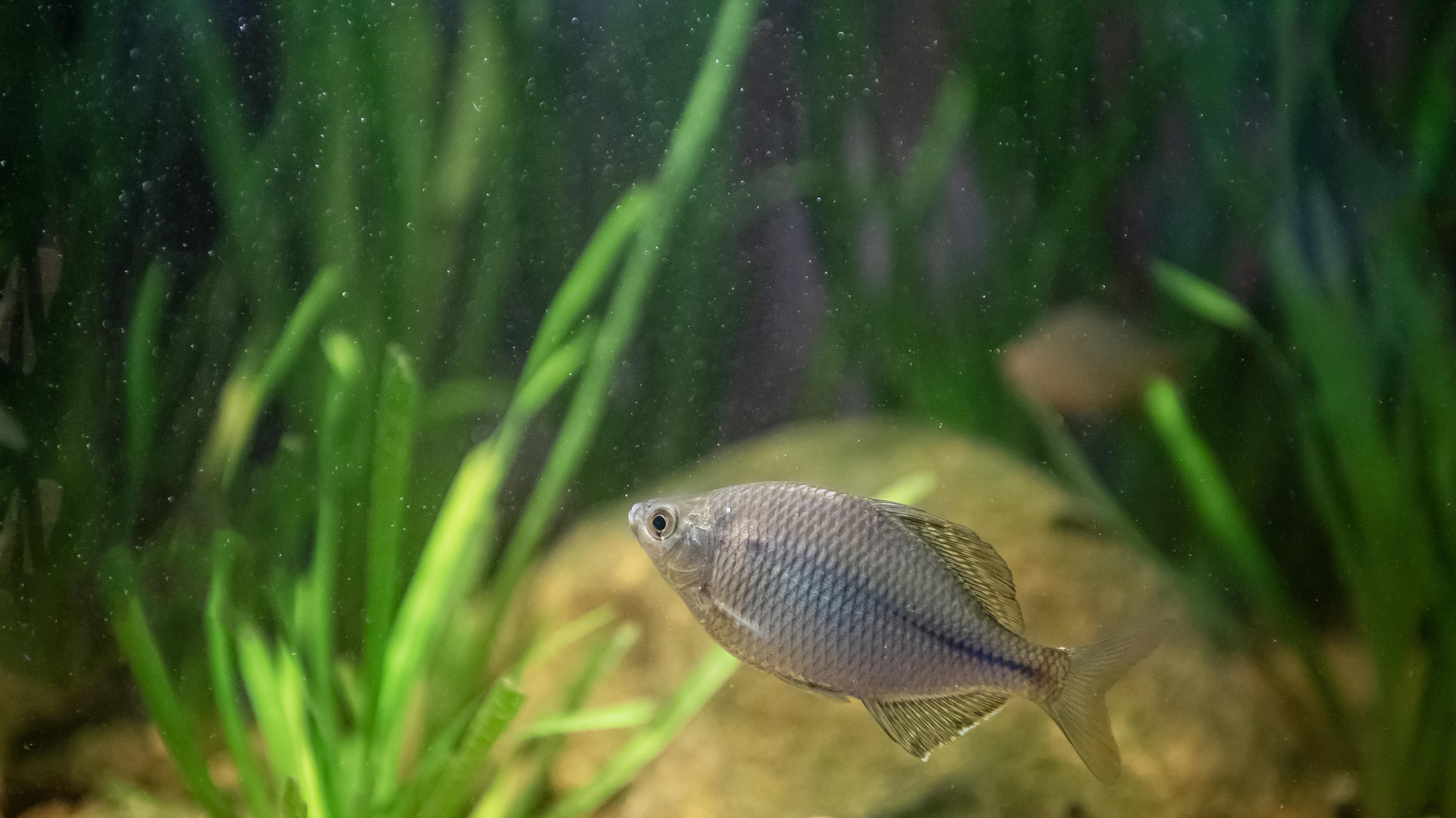 当你还在拧毛巾，别人已找到水源