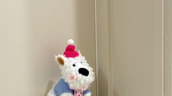 从指尖触碰门把手开始，瞬间拉高全屋质感