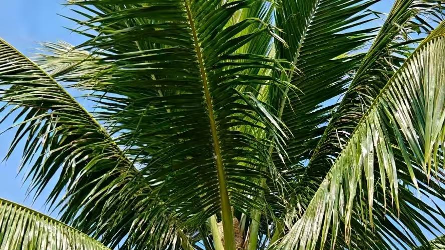 大理不止风花雪月！资深玩家私藏的3个必去景点，错过等于白来