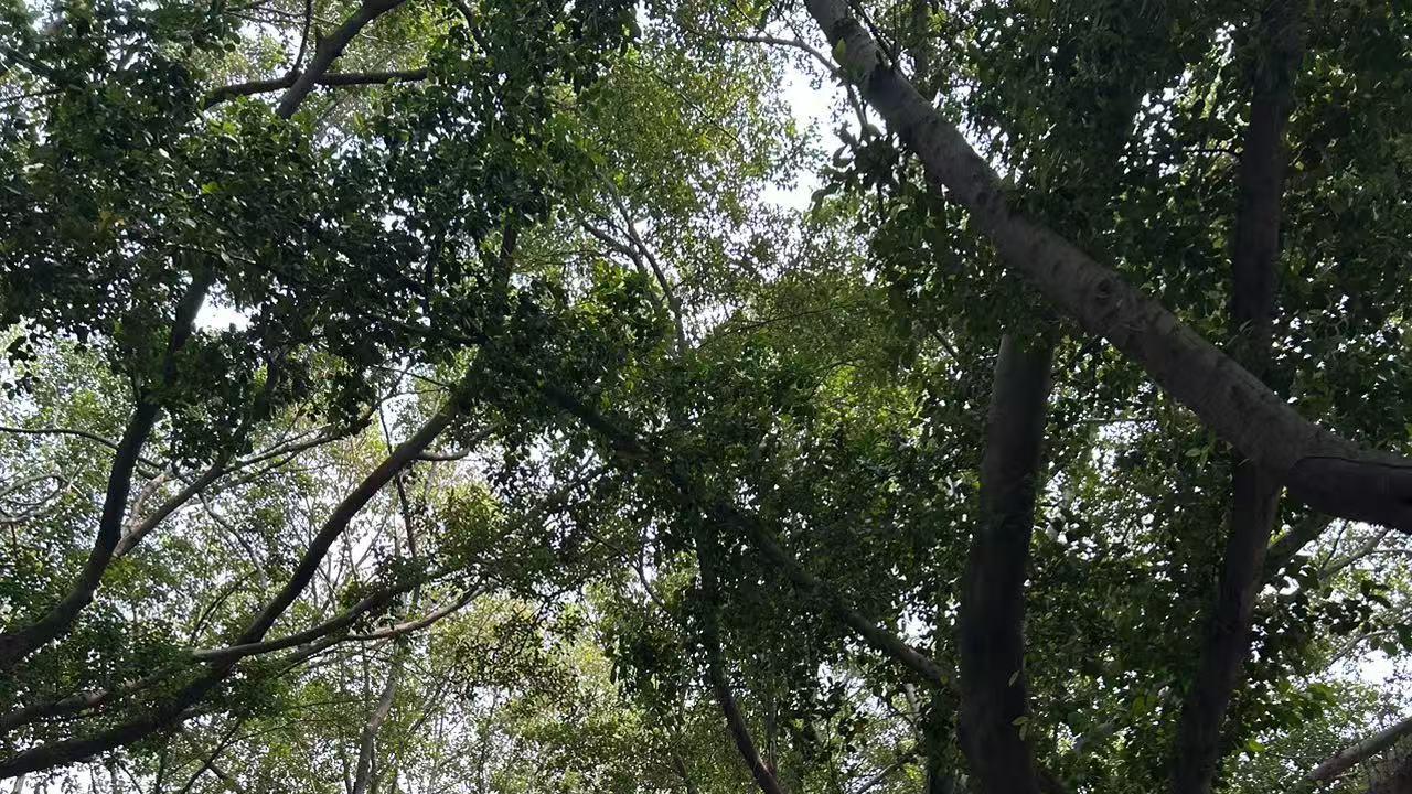 工作是绝大部分普通人的命根子