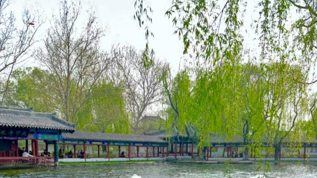 气泡成珠，水色如墨，百脉泉美在生生不息