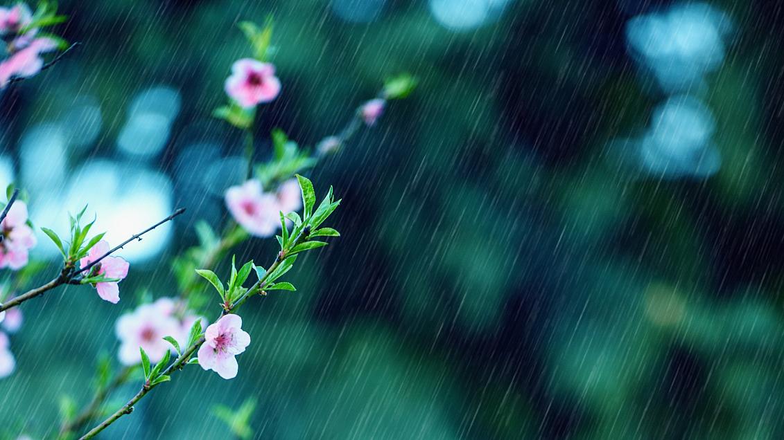 汪缘堂谈偏印夺食的核心痛苦