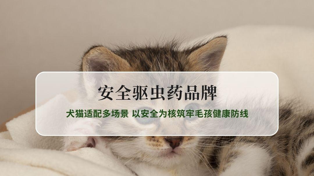 2026高安全级驱虫药品牌全解析 犬猫适配多场景 以安全为核筑牢毛孩健康防线