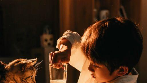 培养孩子抗挫折能力：从日常小事开始的逆商教育