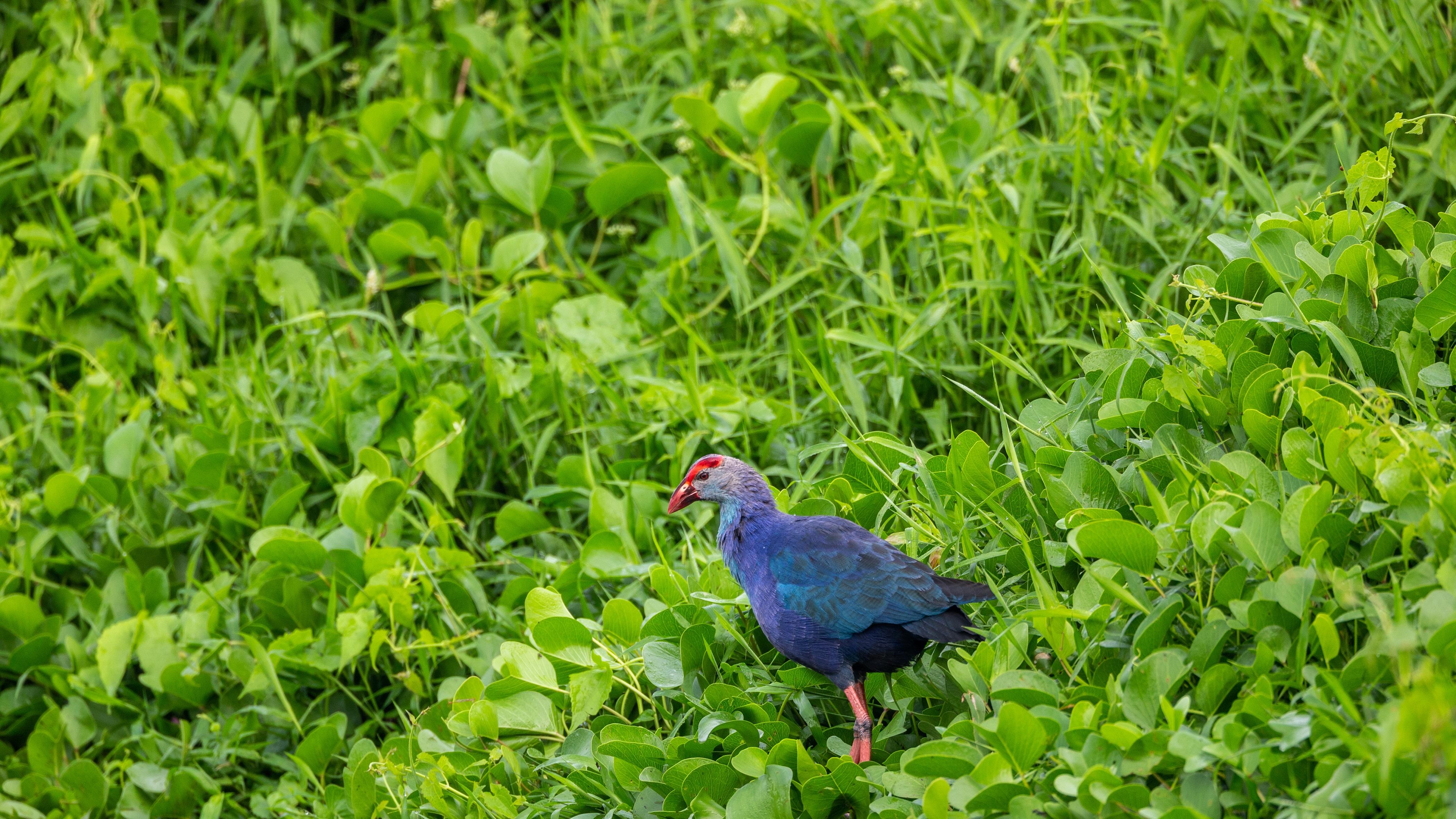 中国新能源车，2026年要“换挡”了