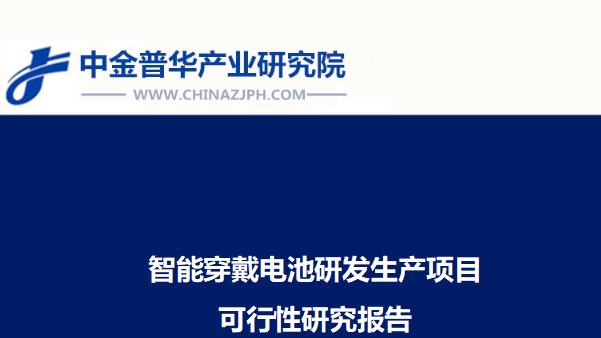 智能穿戴电池研发生产项目可行性研究报告