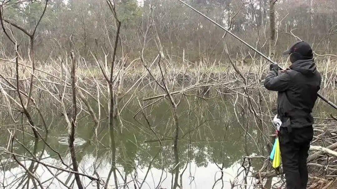 七星漂等于传统钓？不懂就别闹笑话！5大传统钓法，野钓完胜台钓！