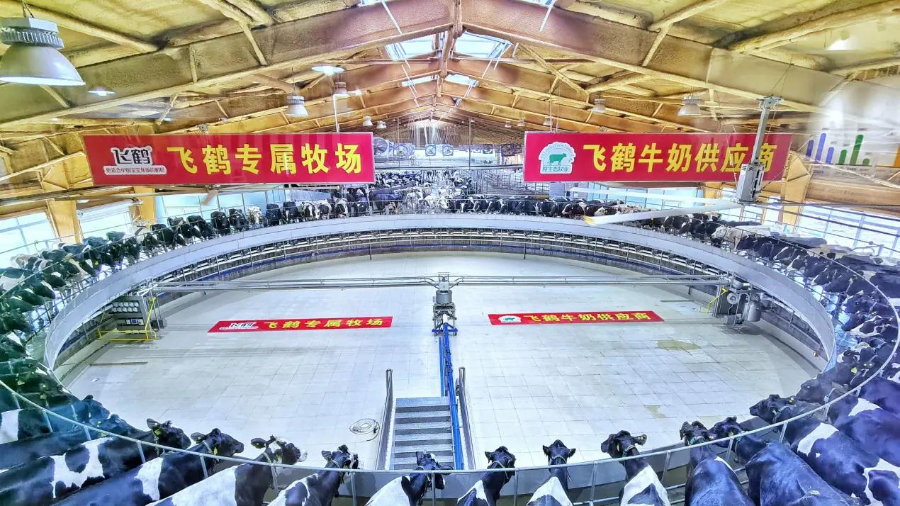 一罐奶粉背后的“数字身份证”：高培 & 噢尼噢尼如何用一物一码重建父母信任？