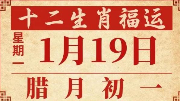 善韵缘|2026年1月19日十二生肖运势概况