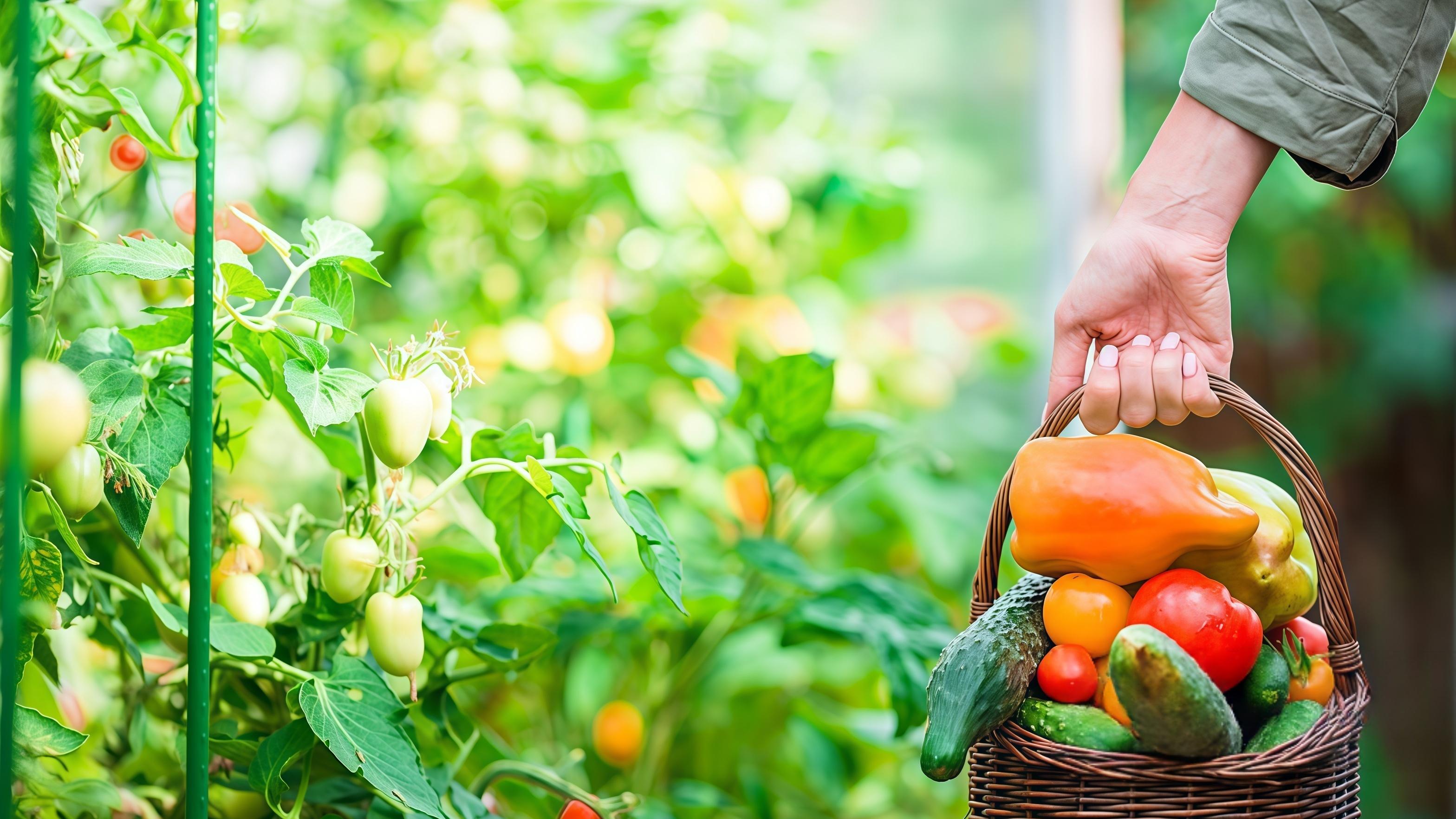 一个奥运冠军被网暴，说明我们体育文化病了