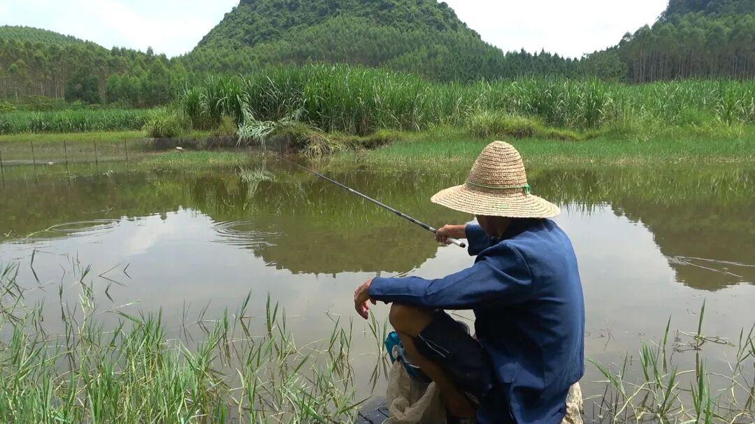 双钩爽一时，单钩稳一世？三点论决定用哪种子线，鱼获翻倍不挂底