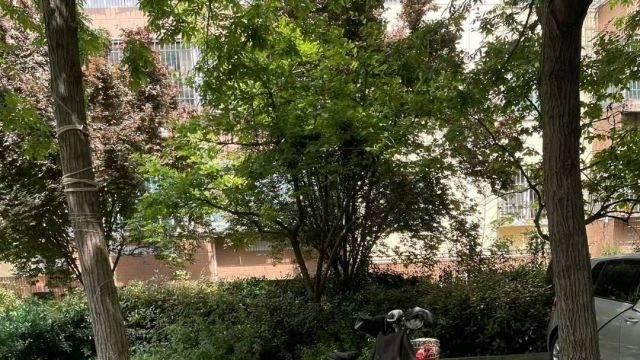 济宁阜桥街道蒋林社区：非机动车私占公共车位，居民停车难求助问政