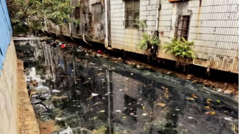 中央生态环保督察通报：惠州阳江有红树林死亡、入海河流黑臭