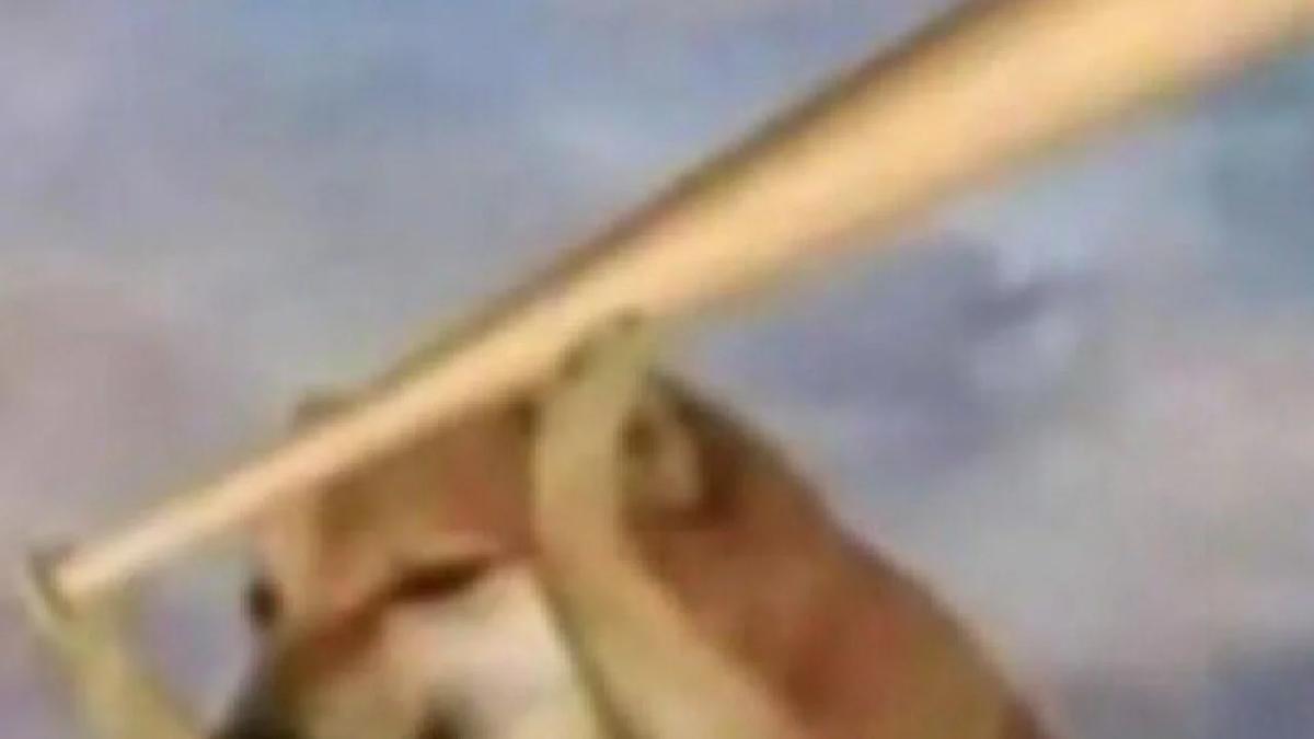 《率土之滨》这格局绝了：在线“求骂”还发10亿精神损失费