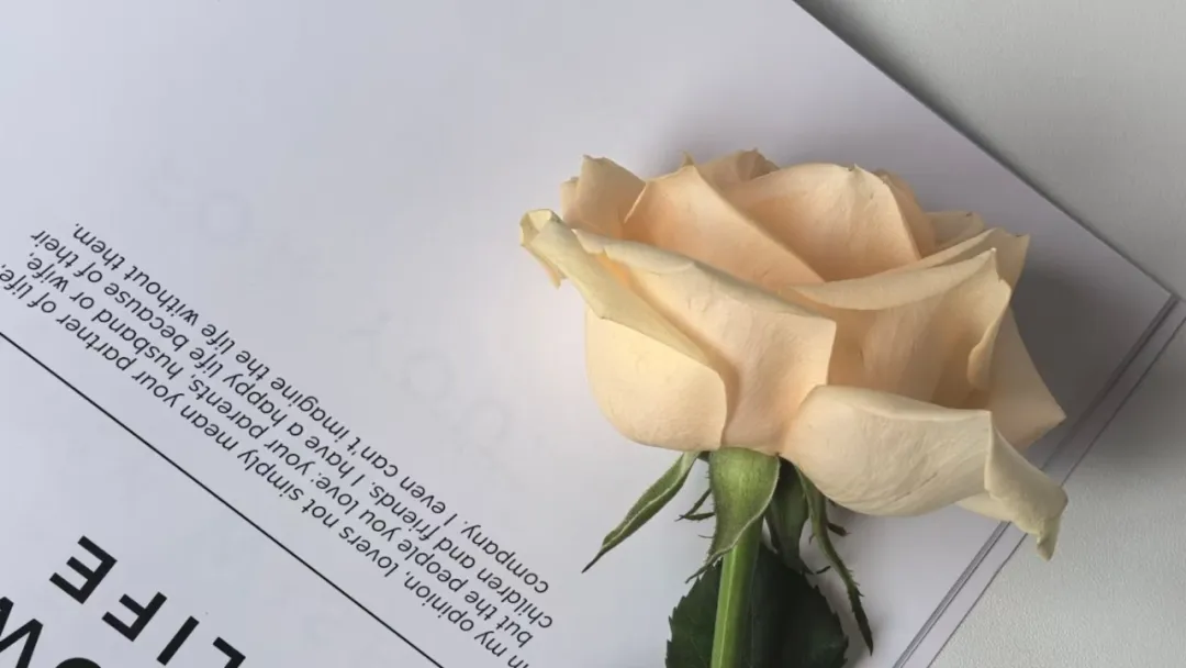 我发现，骨子里很坏的人，往往都有这3个特征，不要深交