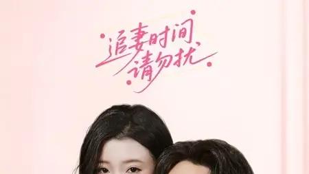 《追妻时间请勿扰》必看，甜虐交织超上头，甜蜜暴击来袭