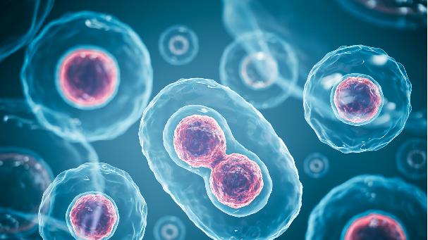 探秘细胞与衰老：央视《探索衰老的秘密》带你揭开神秘面纱