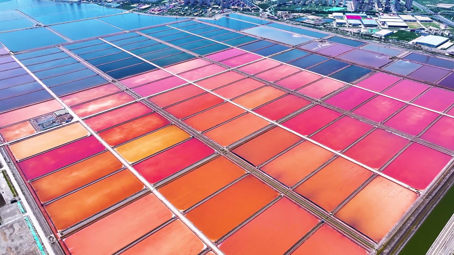 时光淬炼 古法新生｜芦花海盐的三百个日夜