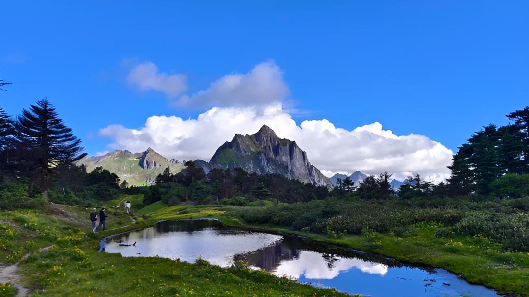 云南旅游整治13年仍乱象频发？