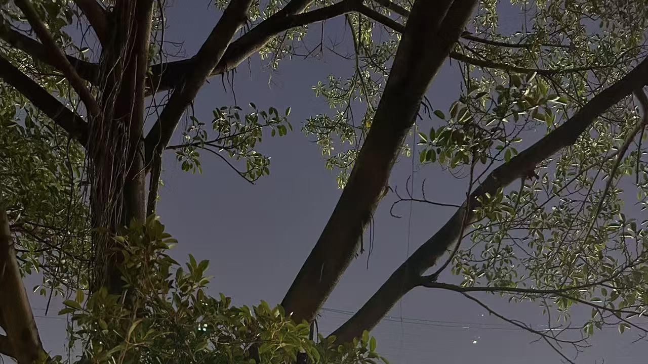 普通人拥有什么技能才算是一技之长呢？