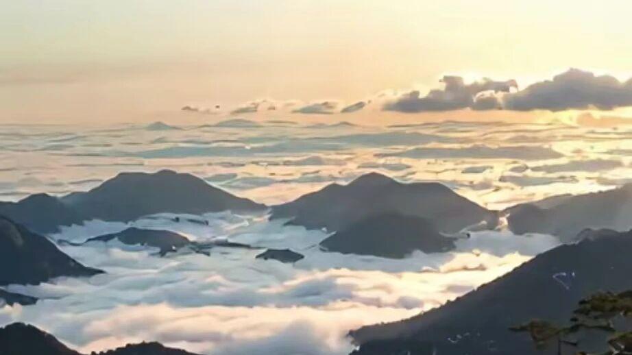 庐山免门票了！限定的春雪云雾花芳菲，错过等一年！