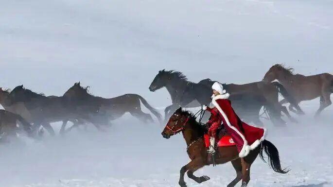 马背上的丰碑，这个时代的勇敢缩影贺蛟龙