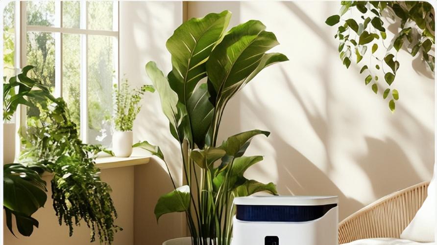 新颐小白 A5 实测：6.2kg 单手拎动，小户型 0.09㎡占地超省空间