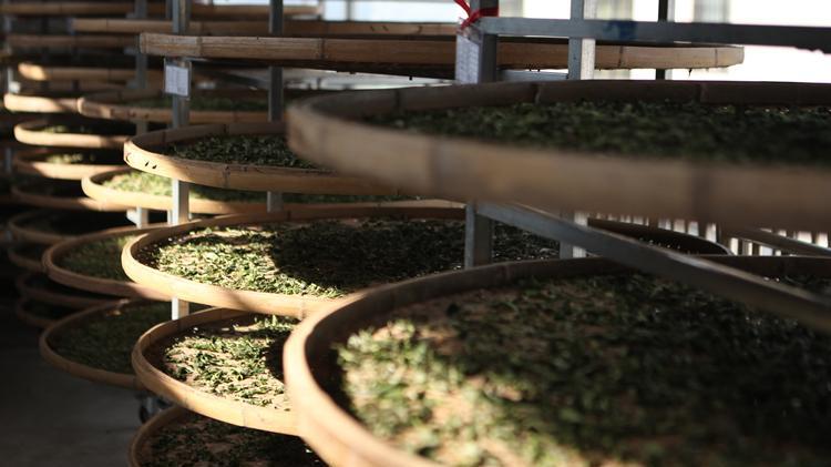 寻回小时候的茶味