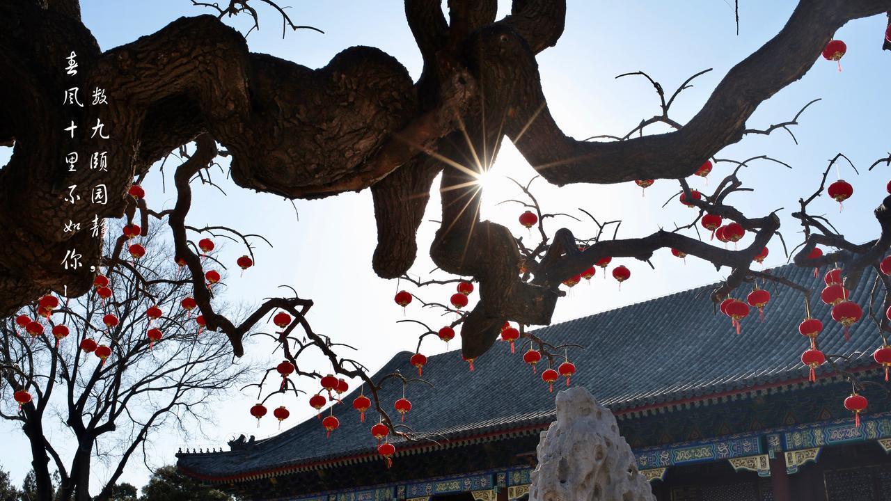 2026年春节在几九？过年冷不冷？早看早知道